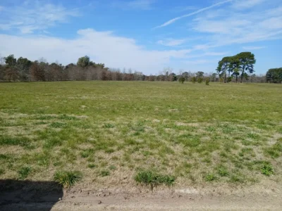 Ruta proncial 193 sn