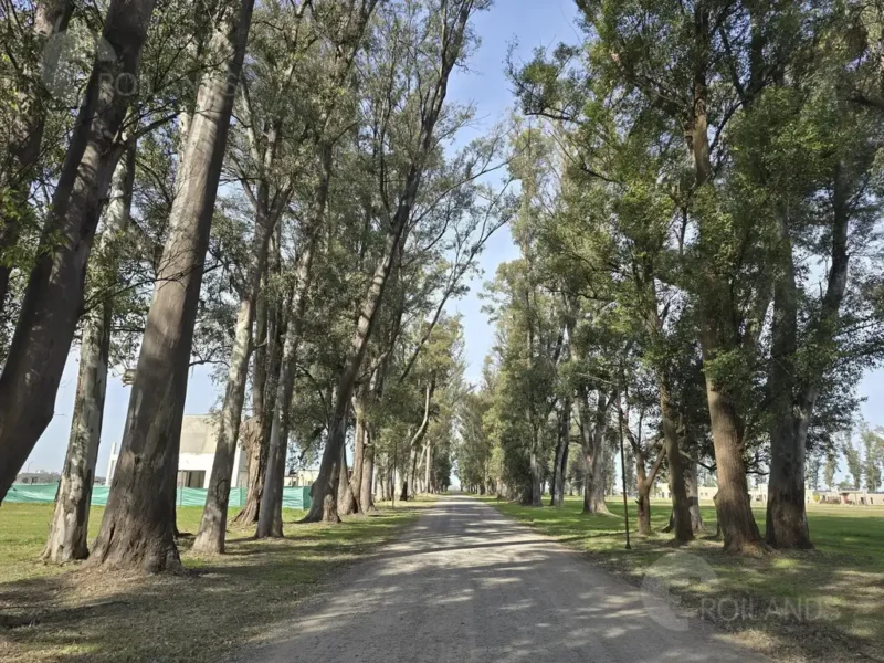 Complejo Residencial Estribo - Tres Pinos - Villa de Campo al 200